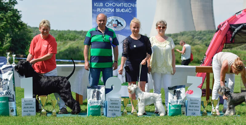 Výsledky ŠV Nový Tekov, 28.5.2016