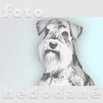 Kchpb foto nedodane 60