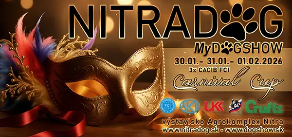 2026 01 banner carnival cup 600px